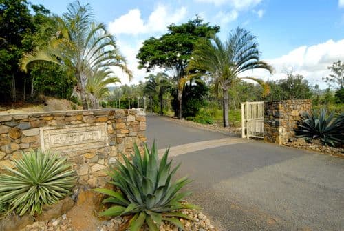 Lot 11 Botanica Drive, CANNONVALE QLD 4802, Cannonvale - Thumbnail 8