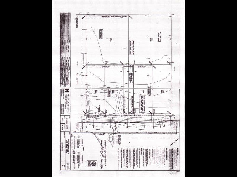 . Show Street, FORBES NSW 2871, Forbes - Image 1