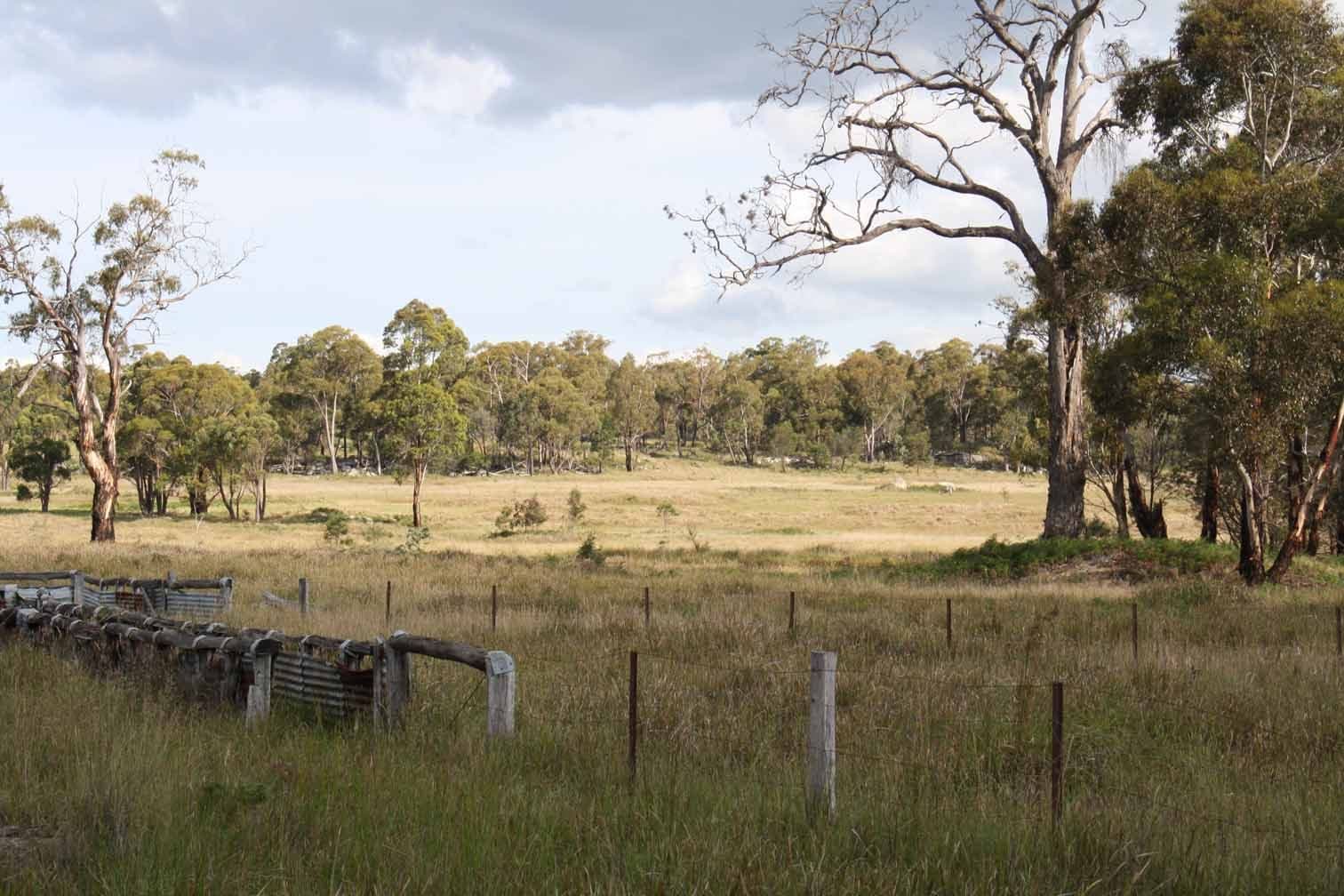 Lot 9 Silent Grove Road, TORRINGTON NSW 2371, Torrington - Thumbnail 2