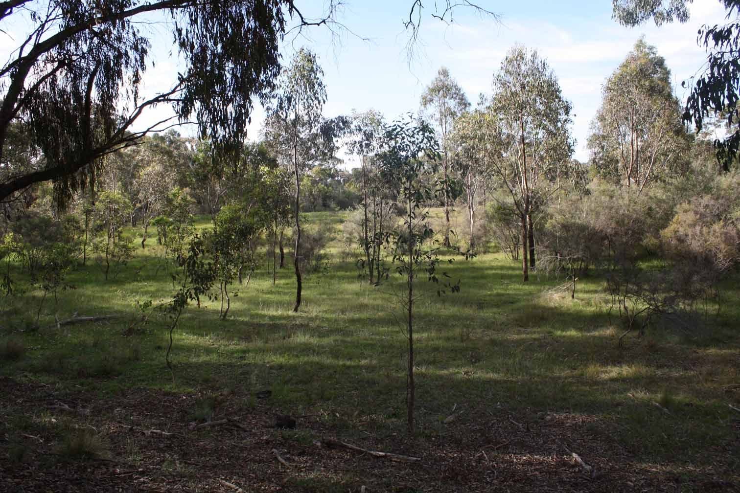 Lot 9 Silent Grove Road, TORRINGTON NSW 2371, Torrington - Thumbnail 3