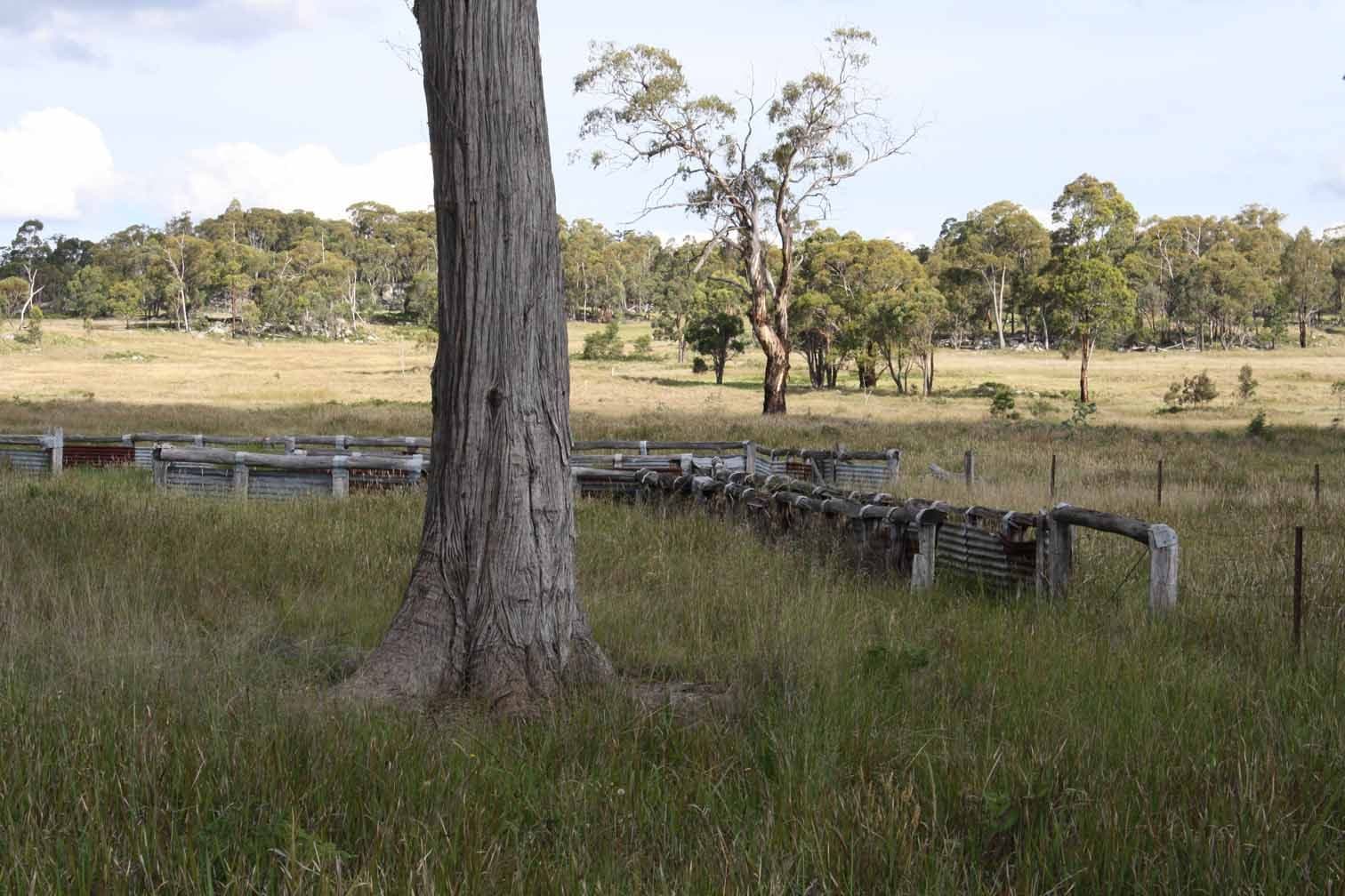 Lot 9 Silent Grove Road, TORRINGTON NSW 2371, Torrington - Thumbnail 5