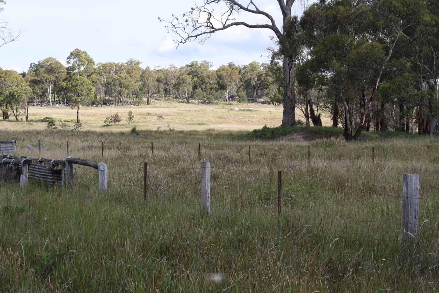 Lot 9 Silent Grove Road, TORRINGTON NSW 2371, Torrington - Thumbnail 6