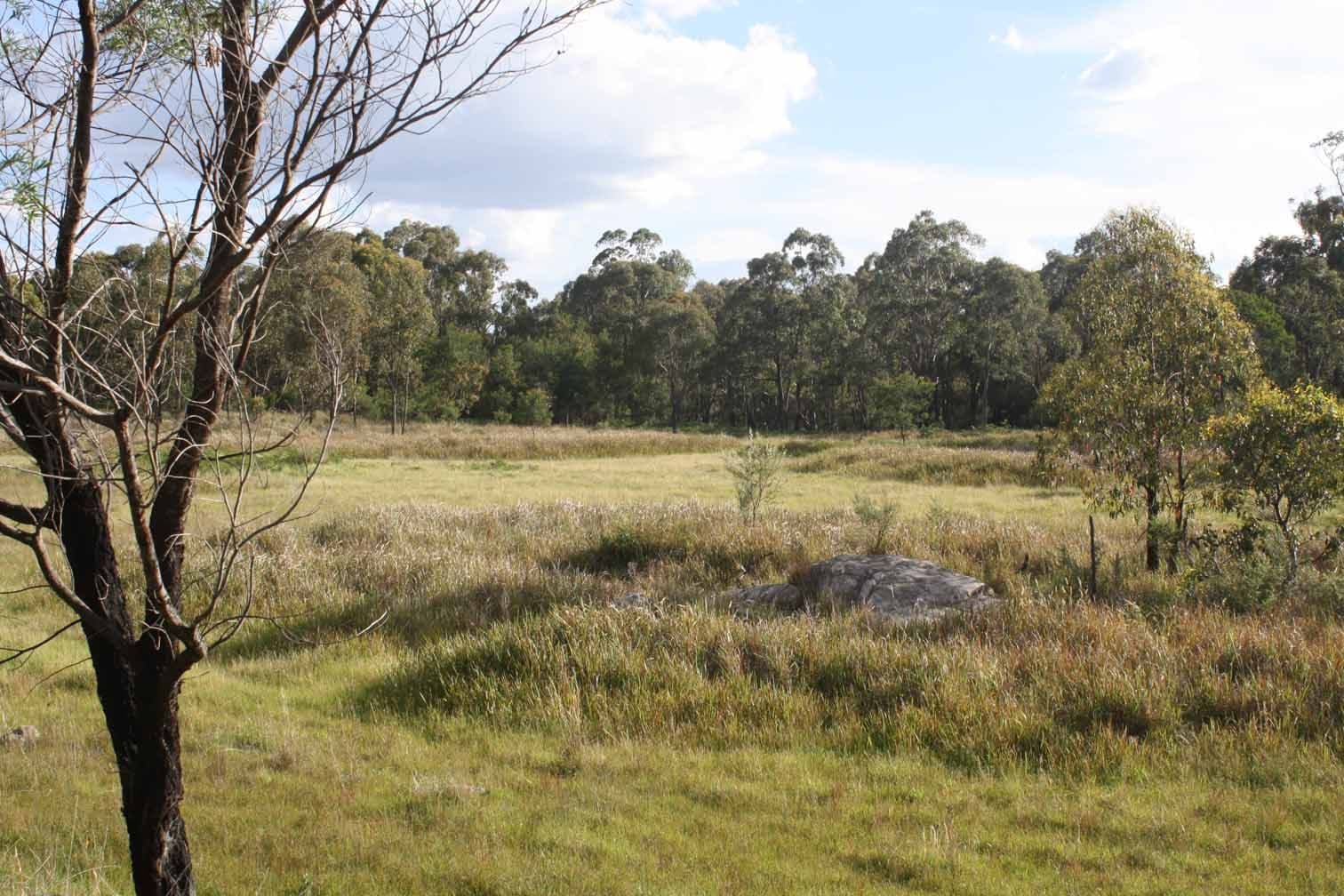 Lot 9 Silent Grove Road, TORRINGTON NSW 2371, Torrington - Thumbnail 7