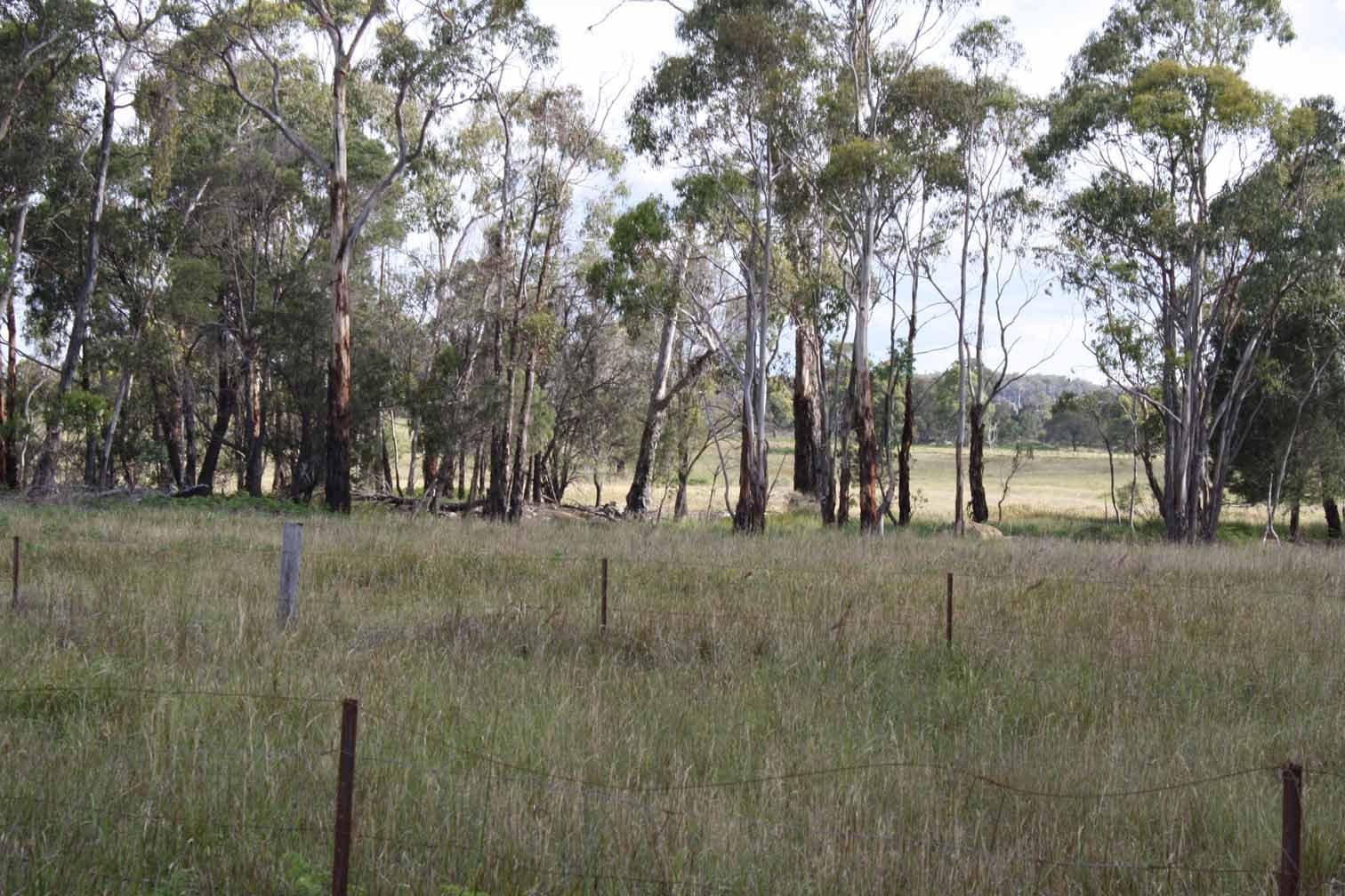 Lot 9 Silent Grove Road, TORRINGTON NSW 2371, Torrington - Thumbnail 8