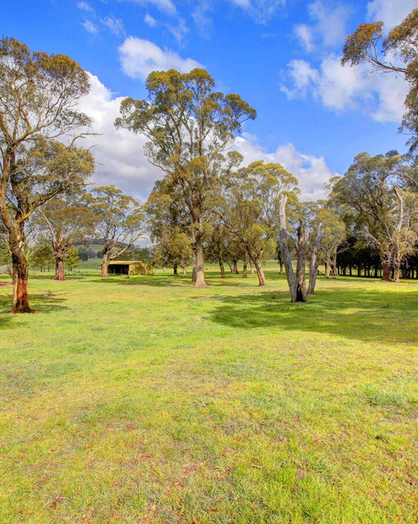 248 Exeter Road Sutton Forest, Forest - Image 1