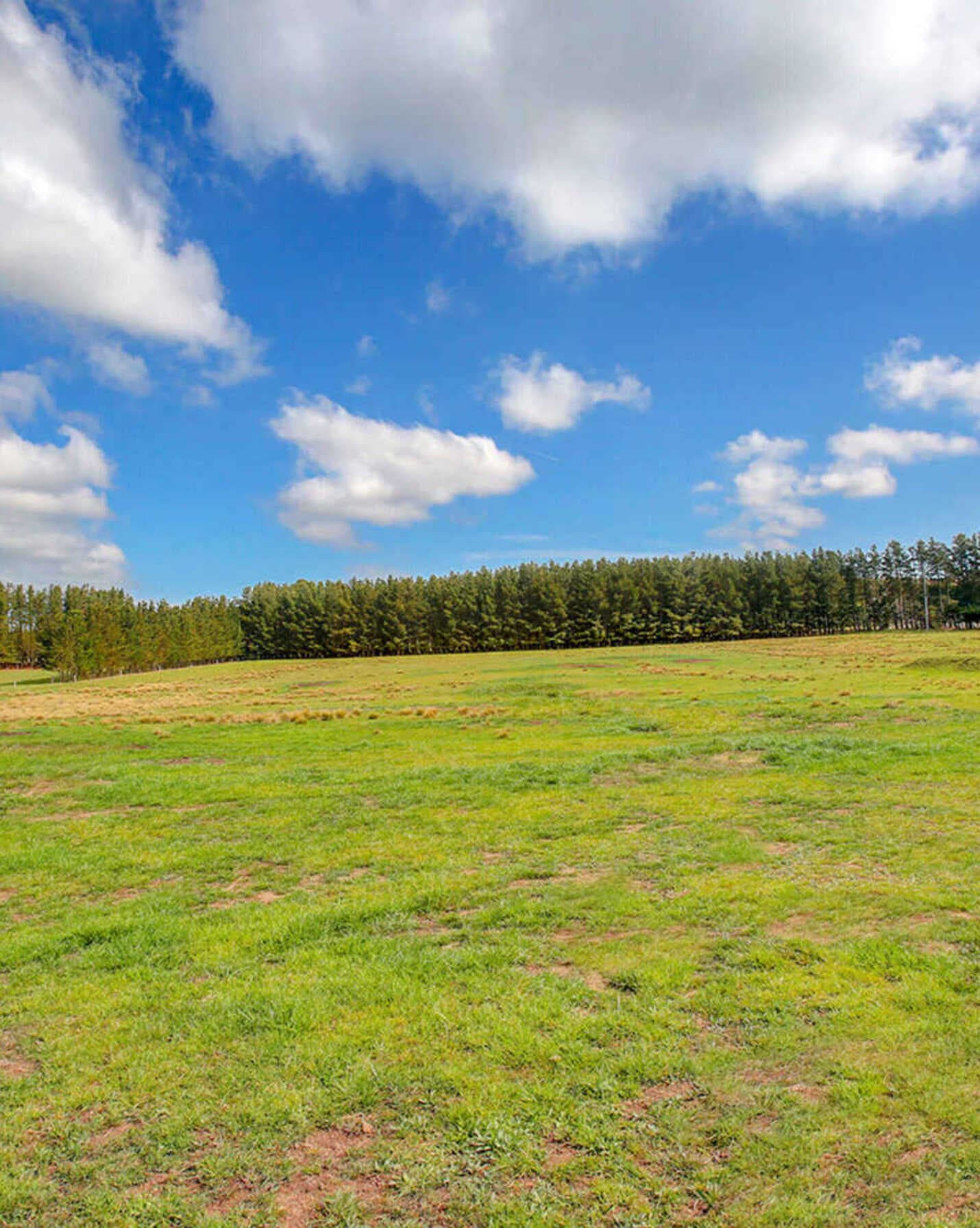 248 Exeter Road Sutton Forest, Forest - Thumbnail 3