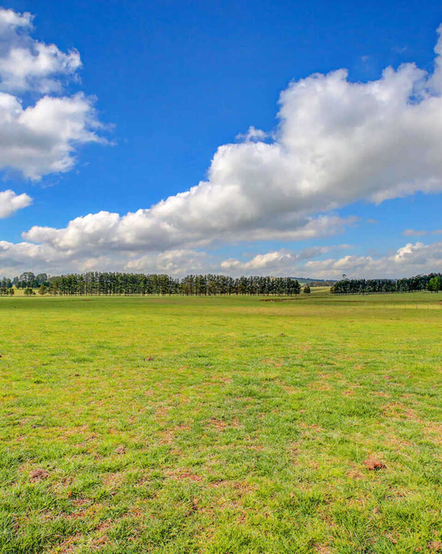 248 Exeter Road Sutton Forest, Forest - Thumbnail 5