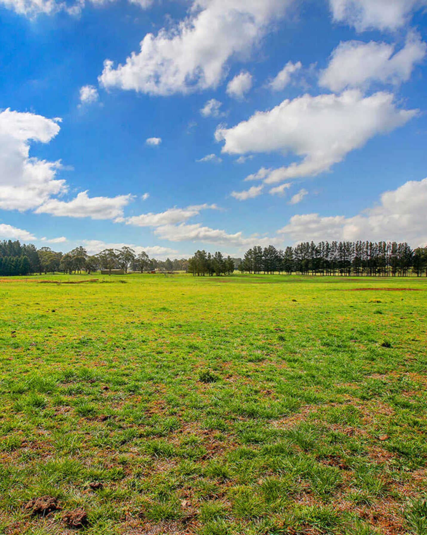 248 Exeter Road Sutton Forest, Forest - Thumbnail 7
