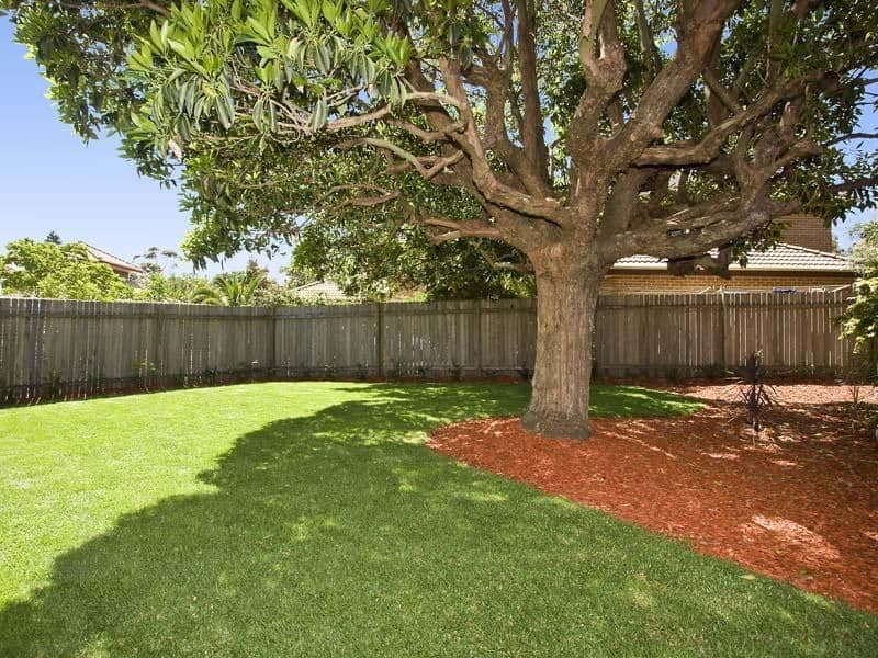 8 Pozieres Avenue, MATRAVILLE NSW 2036, Matraville - Thumbnail 6