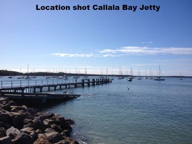 Lot 16 Sheaffe Street, Callala Bay NSW 2540, Callala Bay - Thumbnail 8