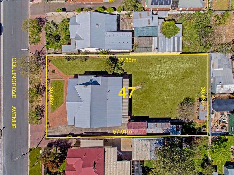 37 Collingrove Avenue, Broadview SA 5083, Broadview - Thumbnail 2
