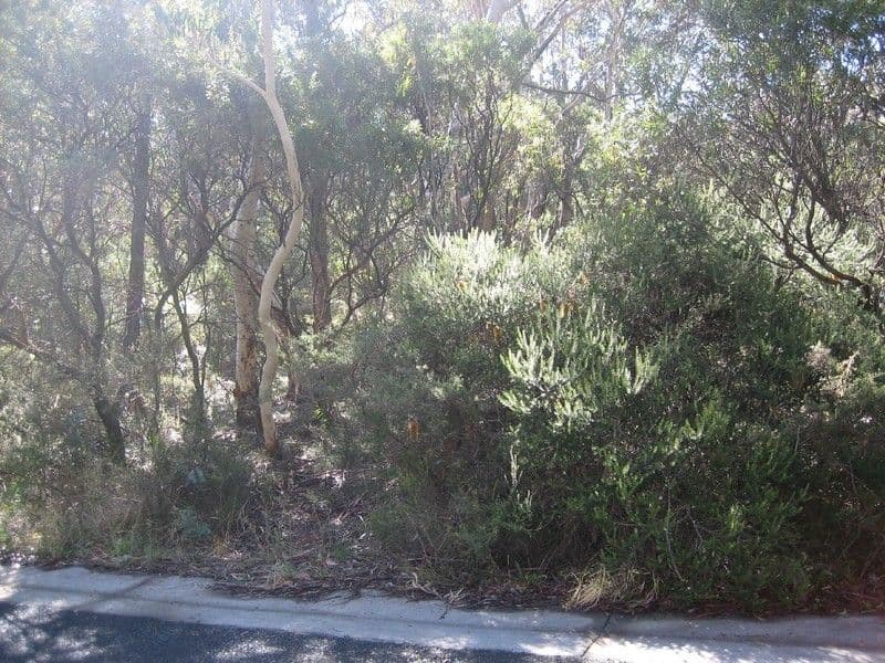 63 Shipley Road, BLACKHEATH NSW 2785, Blackheath - Image 1