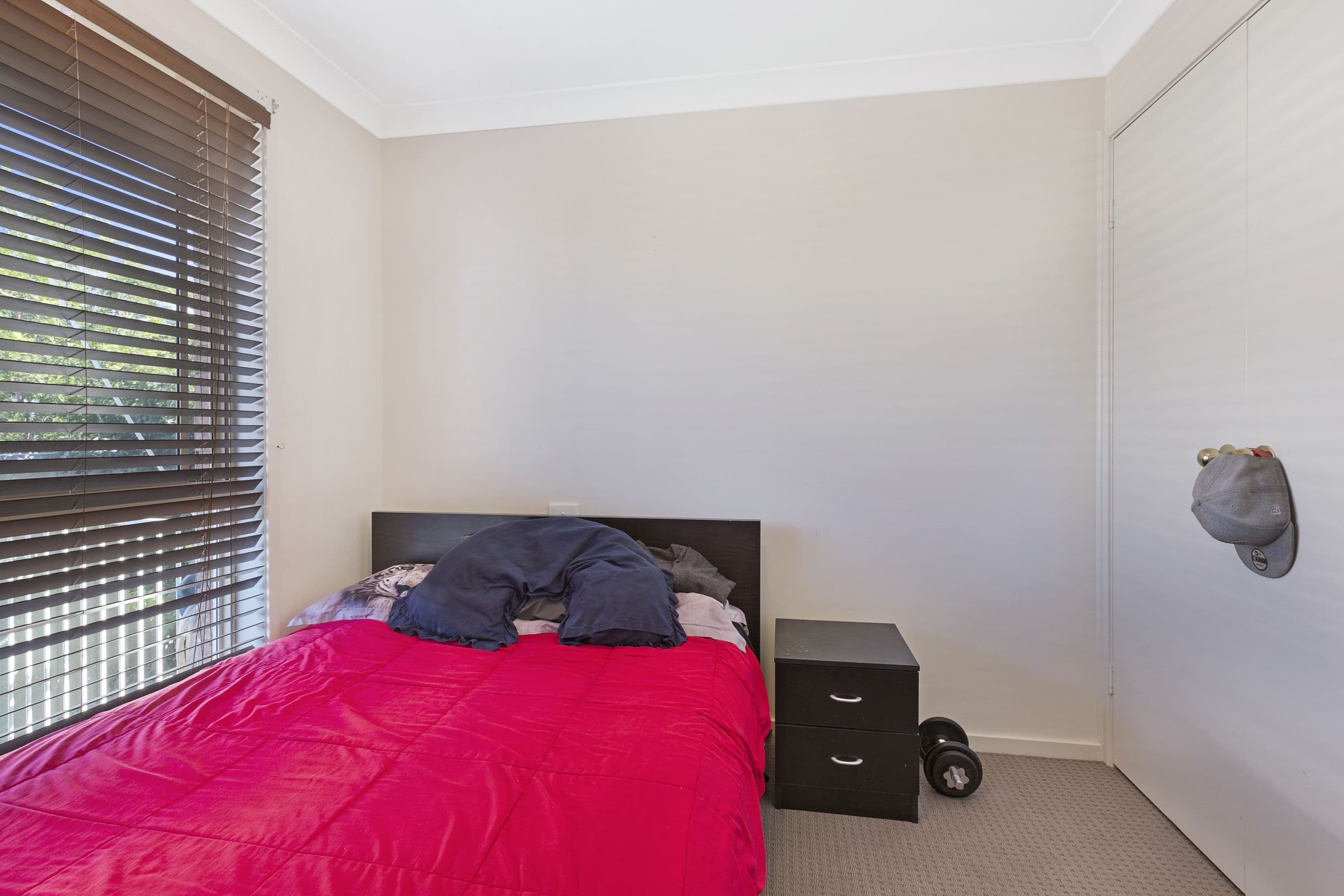118 Edward Street, Tamworth NSW 2340, Tamworth - Thumbnail 6