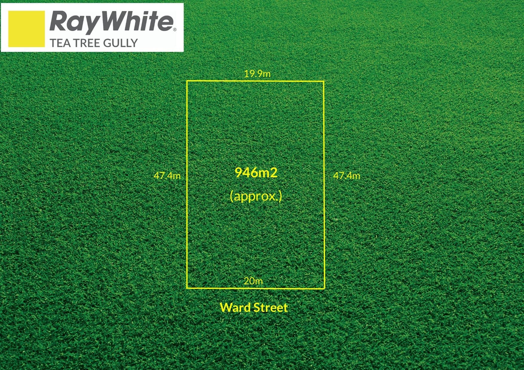 3 Ward Street, Modbury SA 5092, Modbury - Thumbnail 3