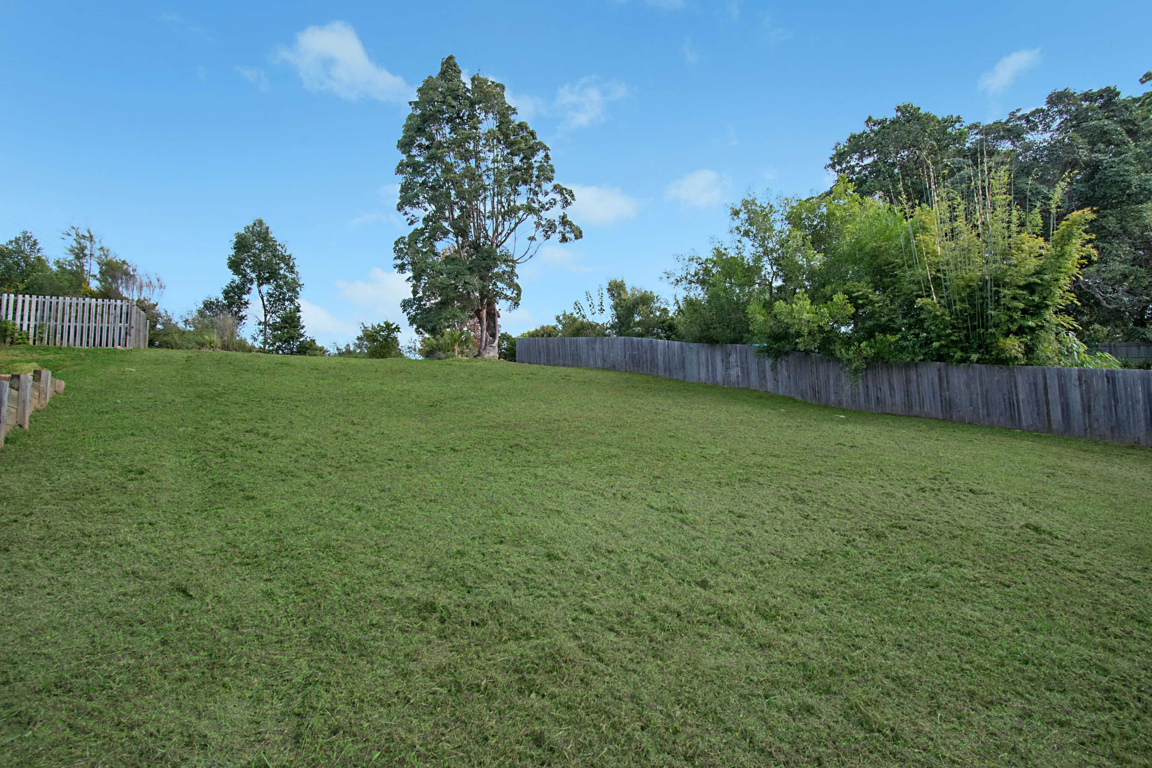 7 Laverty Court, Mullumbimby NSW 2482, Mullumbimby - Thumbnail 3