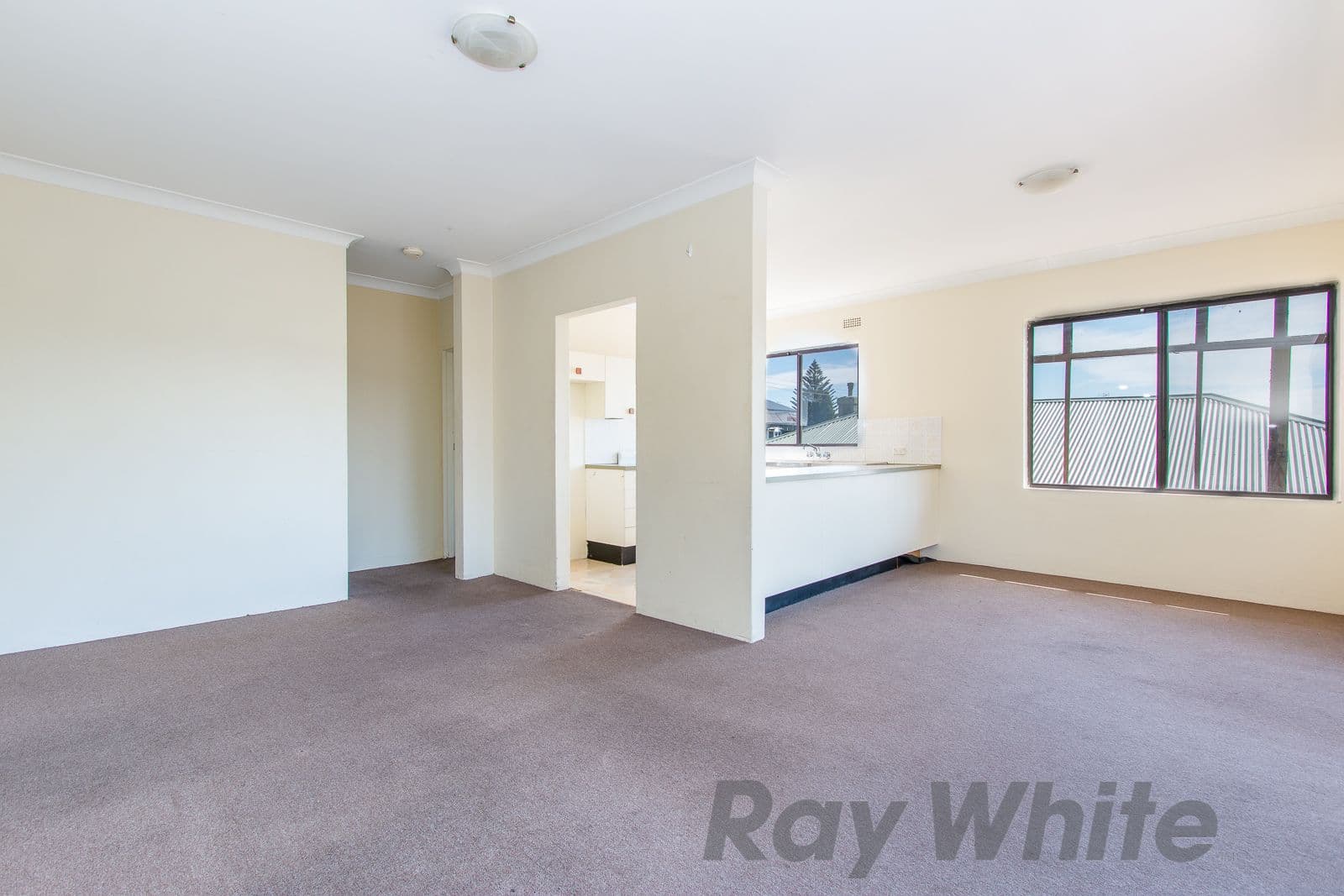 195-199 Gosford Road, Adamstown NSW 2289, Adamstown - Thumbnail 5