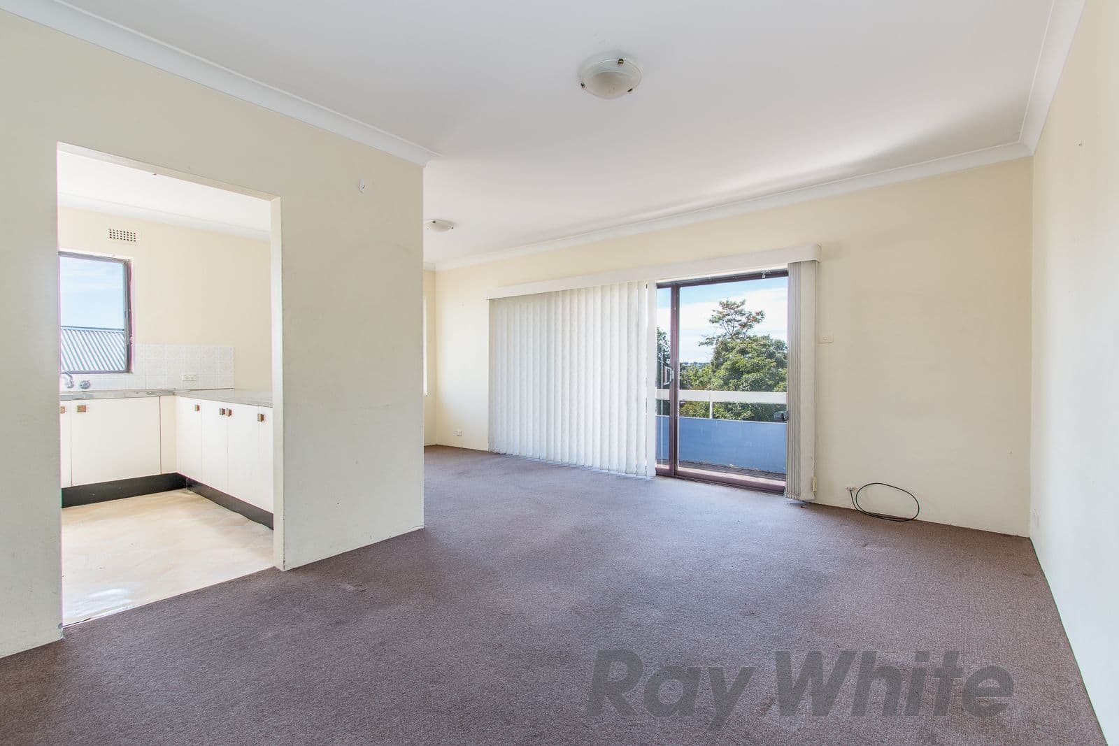 195-199 Gosford Road, Adamstown NSW 2289, Adamstown - Thumbnail 7