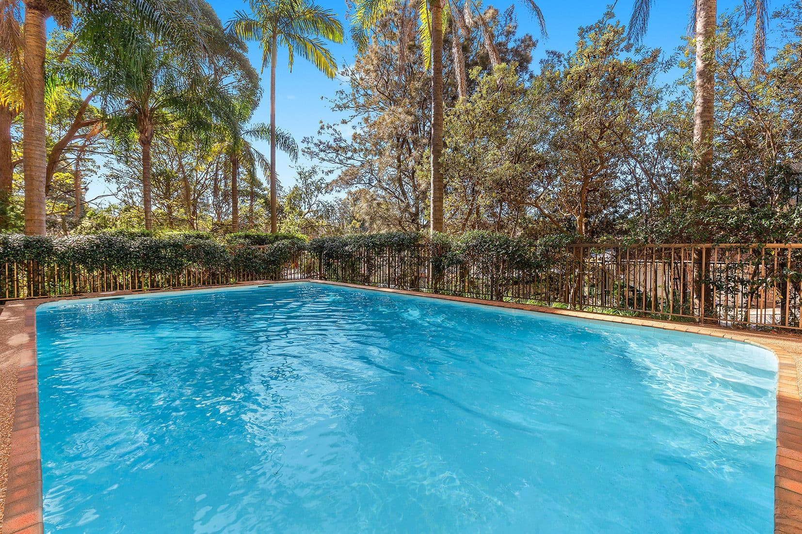 2 Francis Road, Artarmon NSW 2064, Artarmon - Thumbnail 5