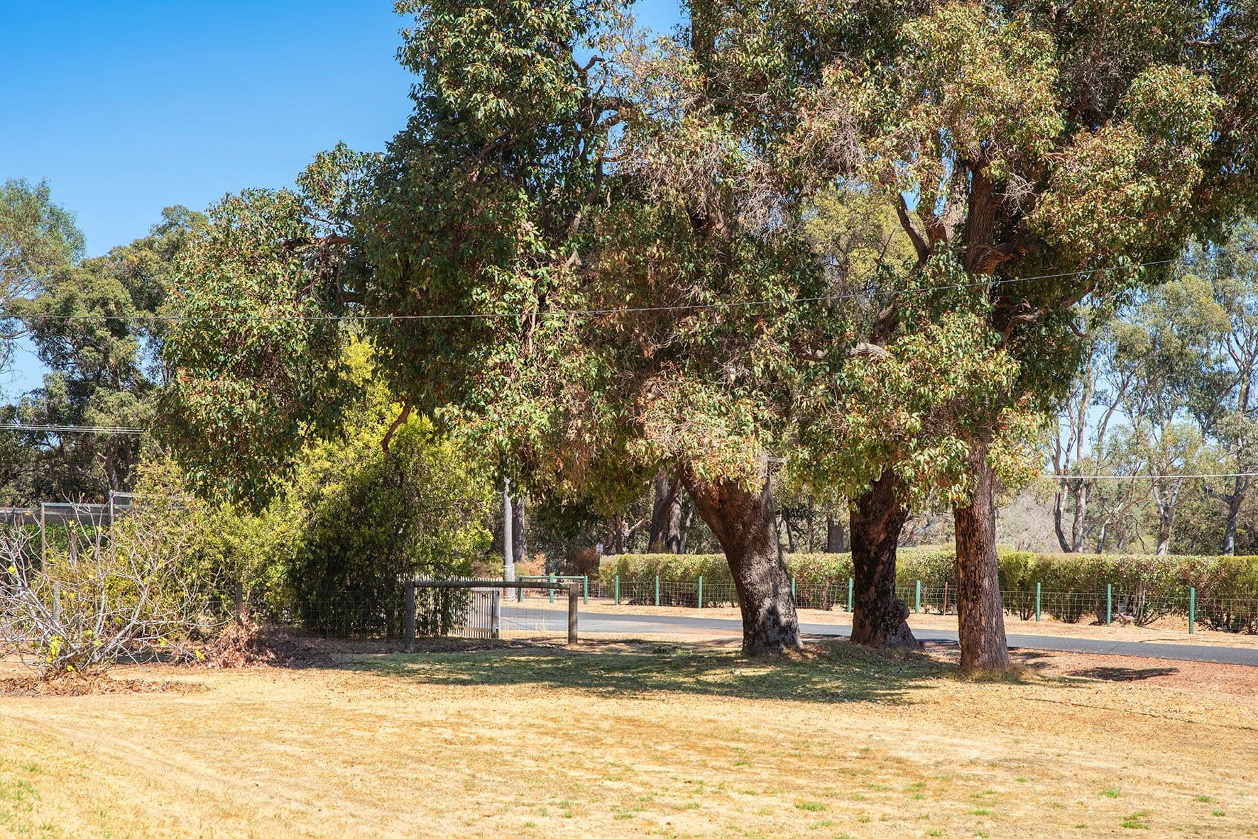 4 Payne Road, Capel WA 6271, Capel - Thumbnail 6