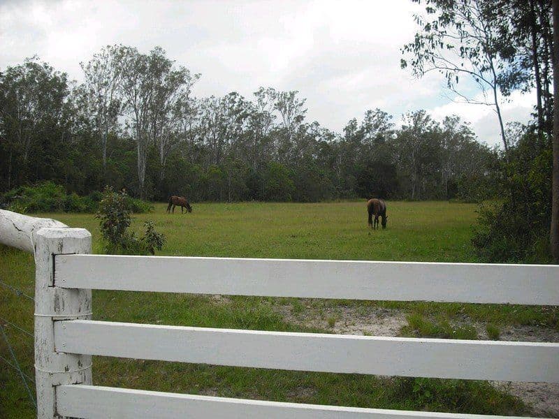 Wongabel QLD 4883, Wongabel - Image 1
