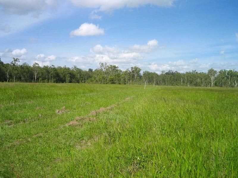 Wongabel QLD 4883, Wongabel - Thumbnail 2