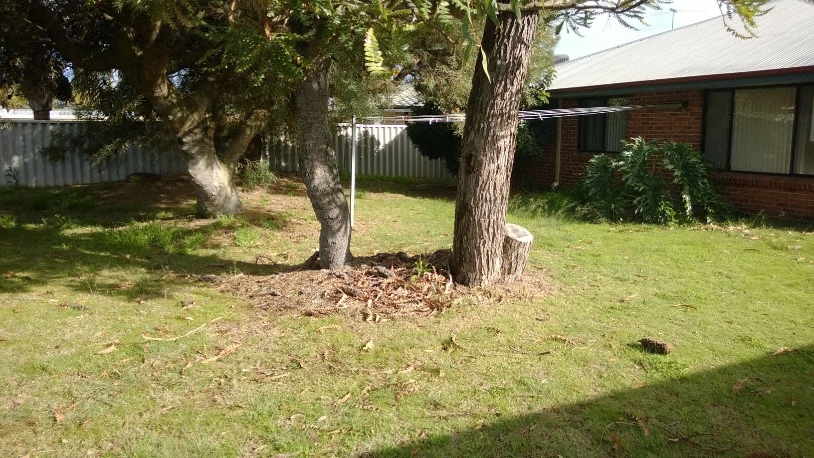 39 Lofthouse Avenue, Eaton WA 6232, Eaton - Thumbnail 4