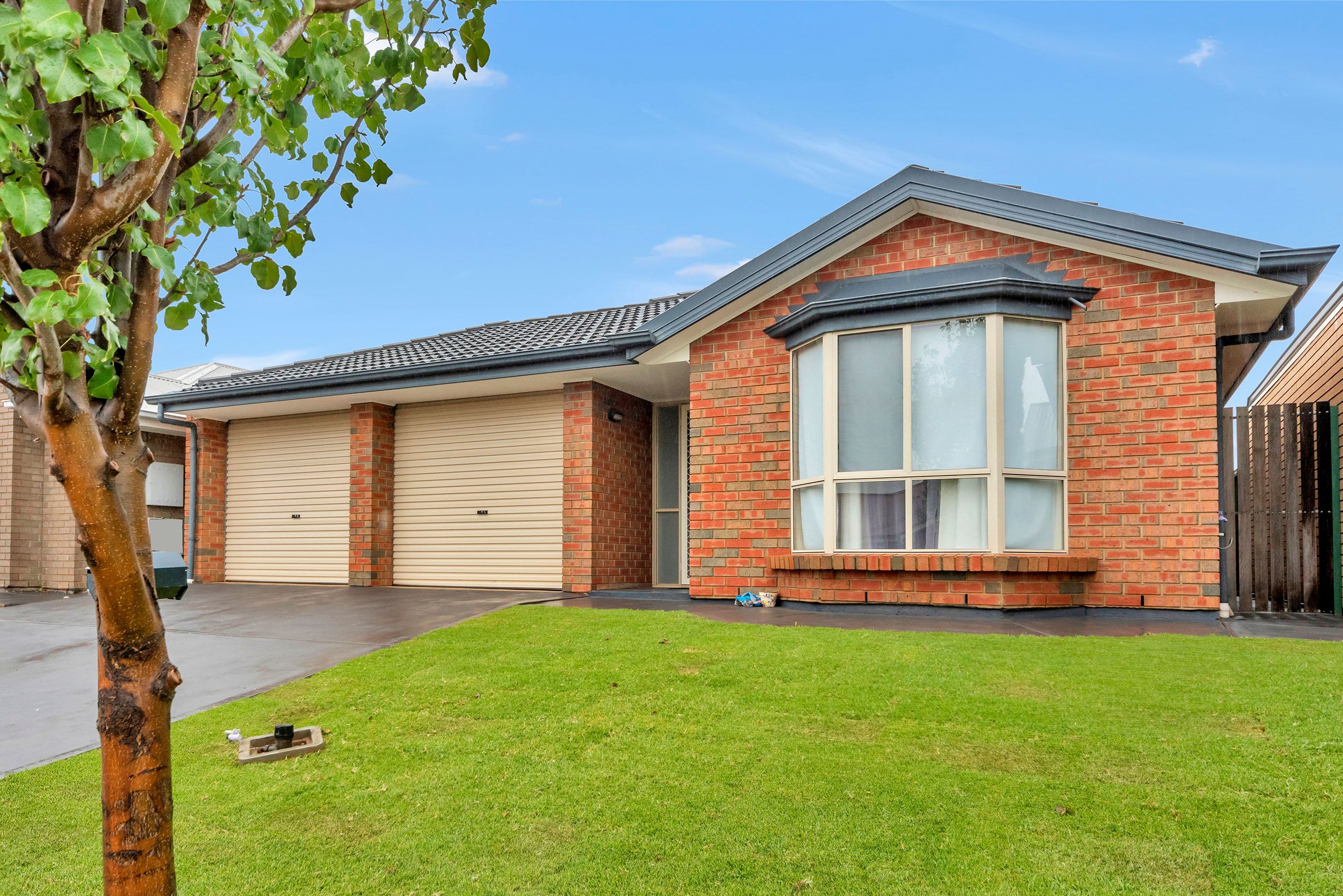 4 Chandler Court, Blakeview SA 5114, Blakeview - Thumbnail 5