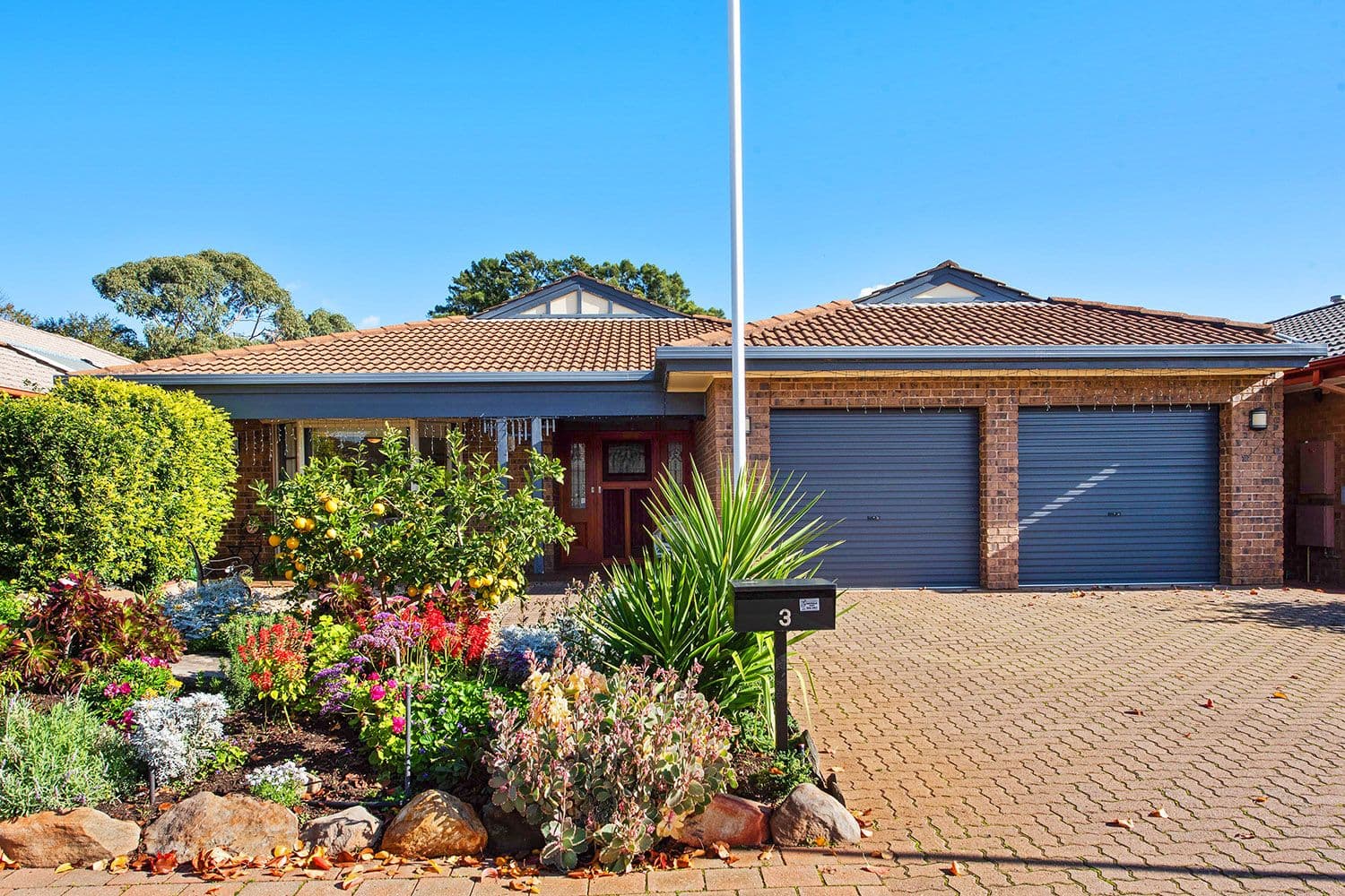 3 Peppertree Grove, Oaklands Park SA 5046, Oaklands Park - Image 1