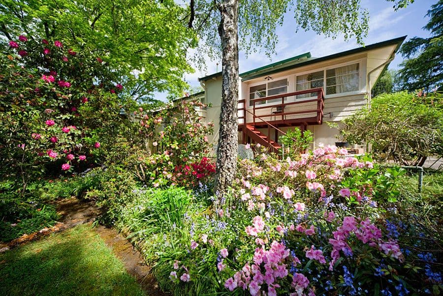 5 Shillington Street, Blackheath - Thumbnail 7