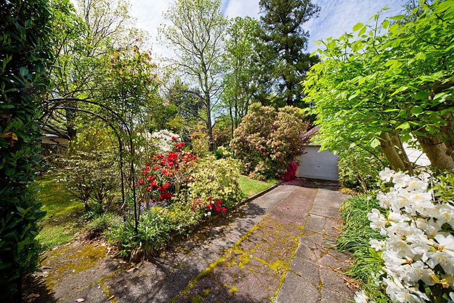 5 Shillington Street, Blackheath - Thumbnail 8