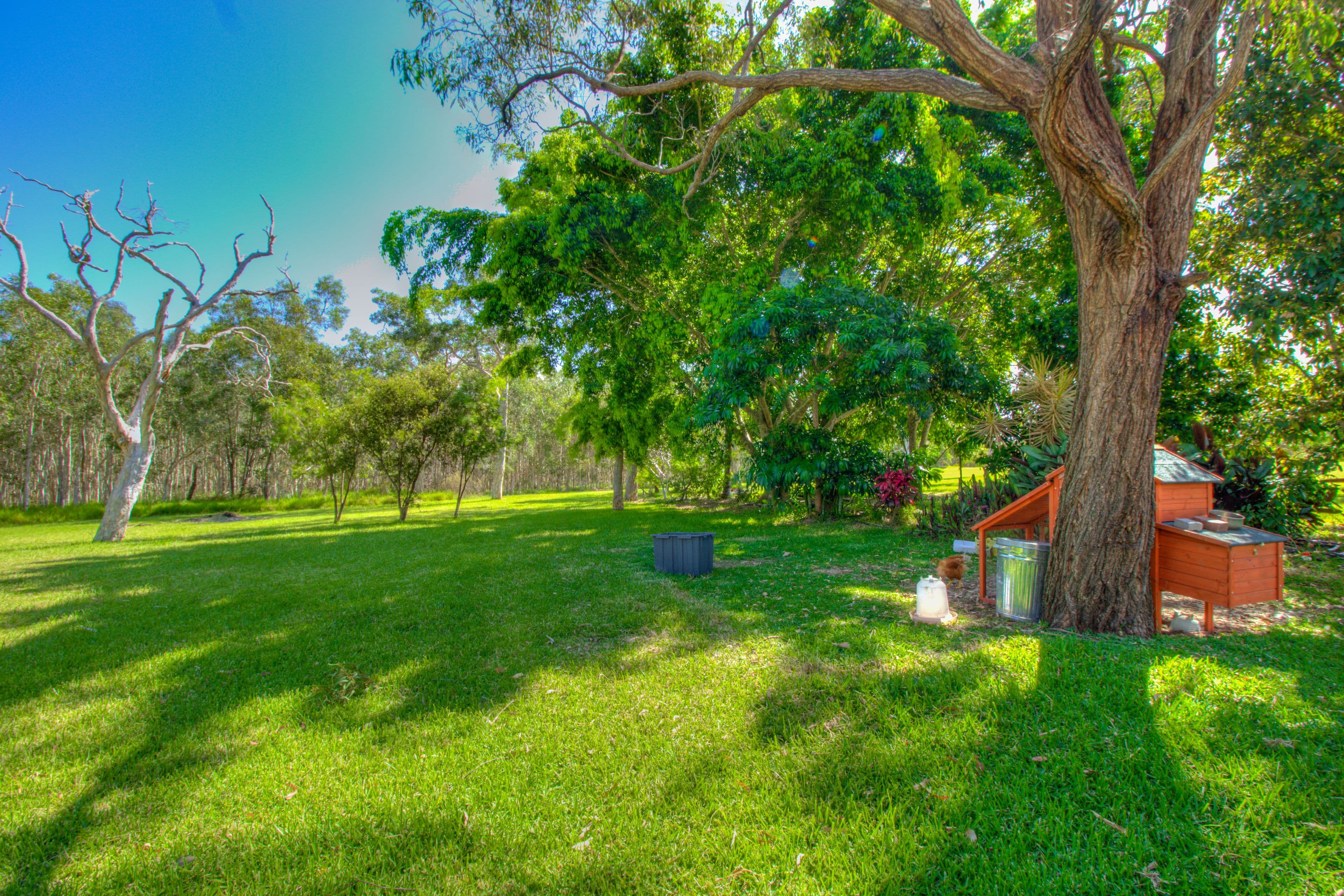 128 Jakeman Drive, Agnes Water QLD 4677, Agnes Water - Thumbnail 8