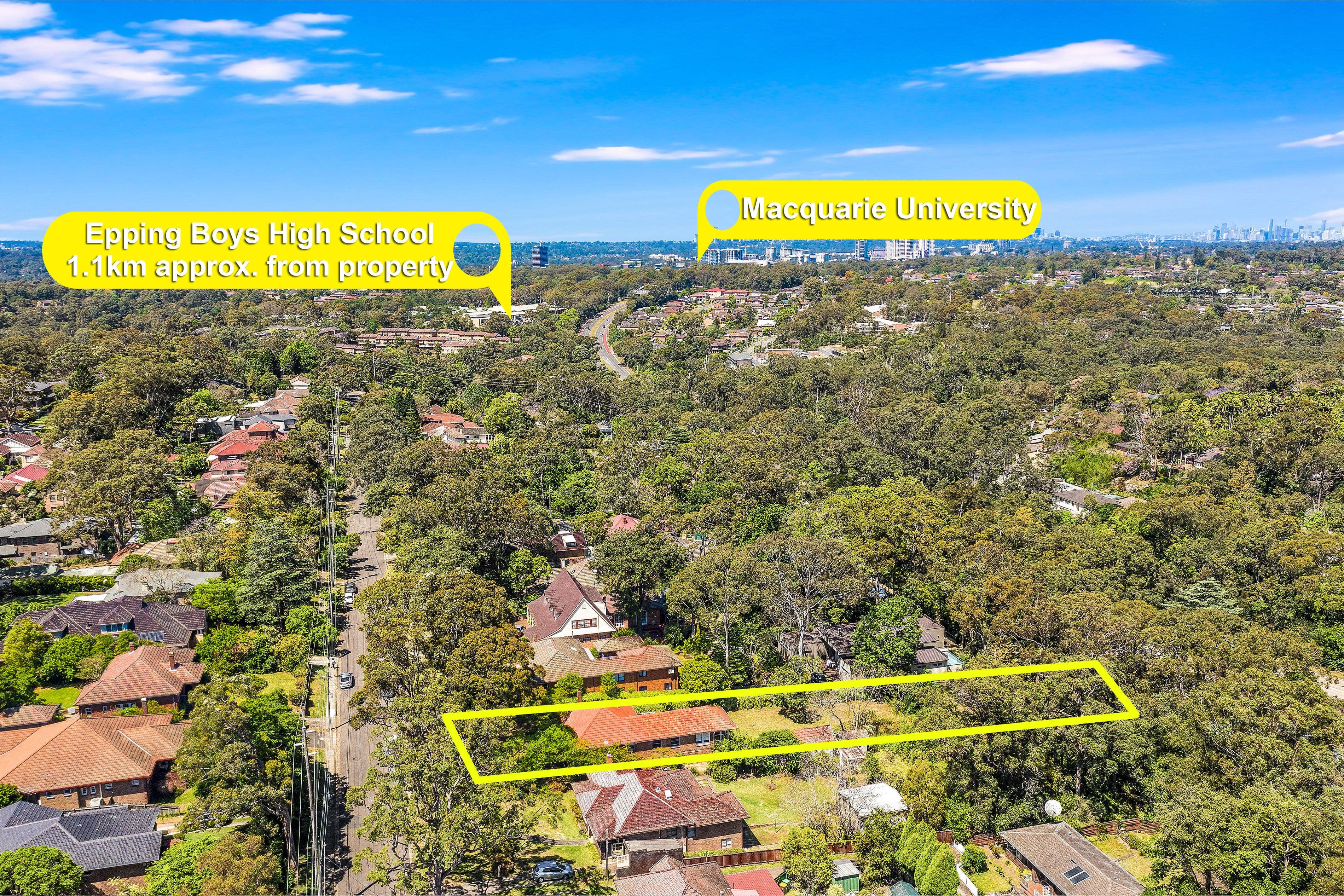 40 Chester Street, Epping NSW 2121, Epping - Thumbnail 7