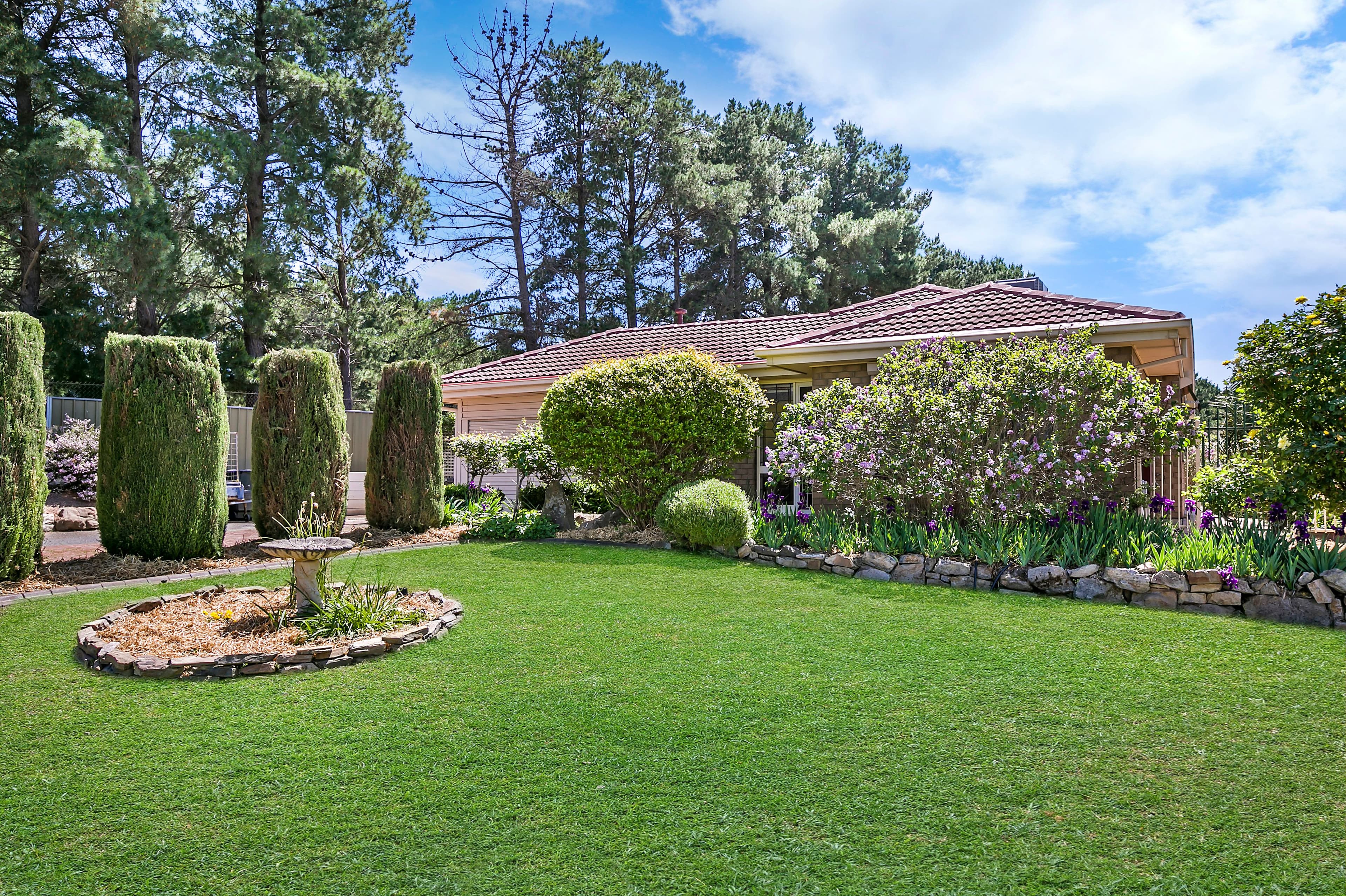 11 Austin Court, Trott Park SA 5158, Trott Park - Thumbnail 3