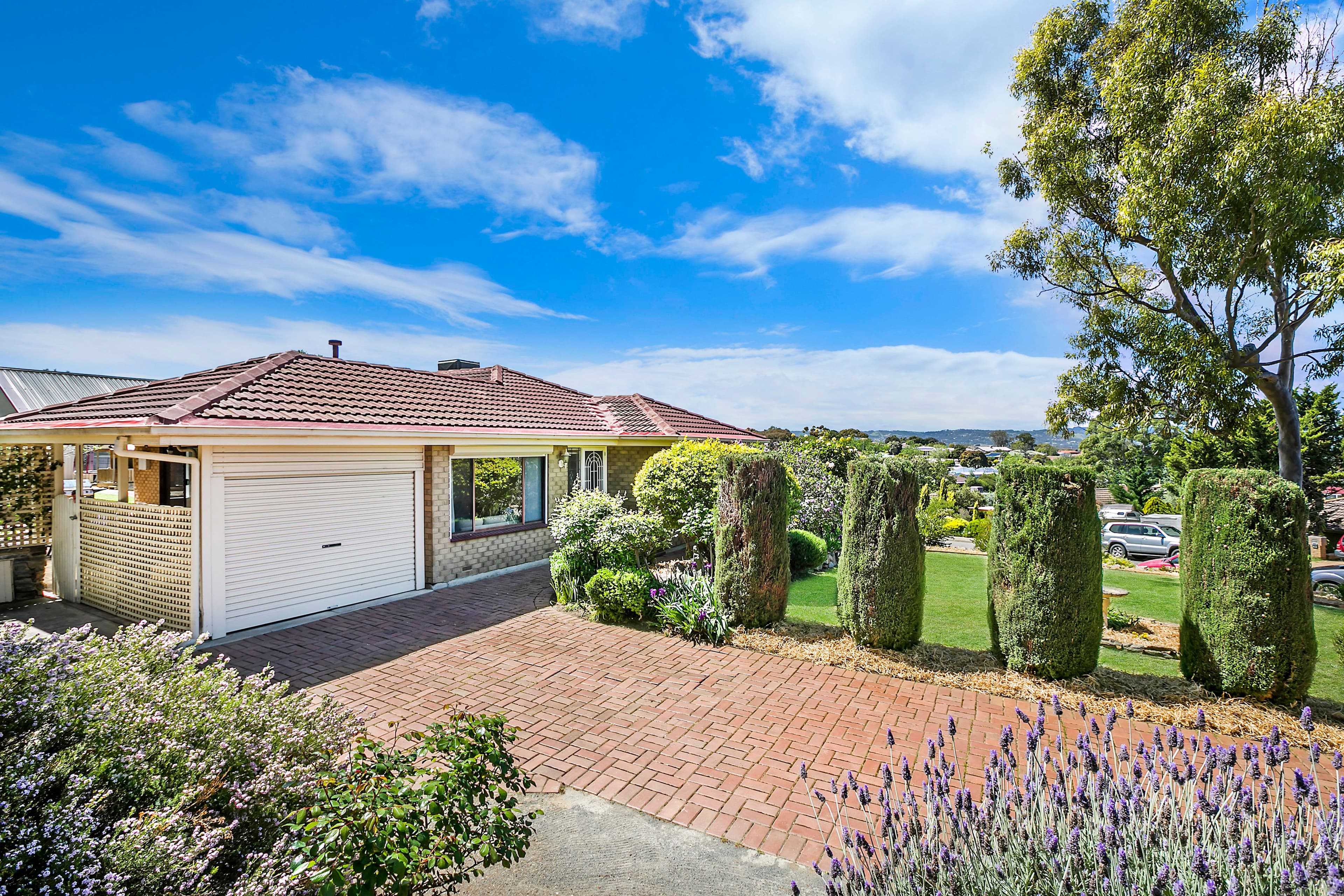 11 Austin Court, Trott Park SA 5158, Trott Park - Thumbnail 4