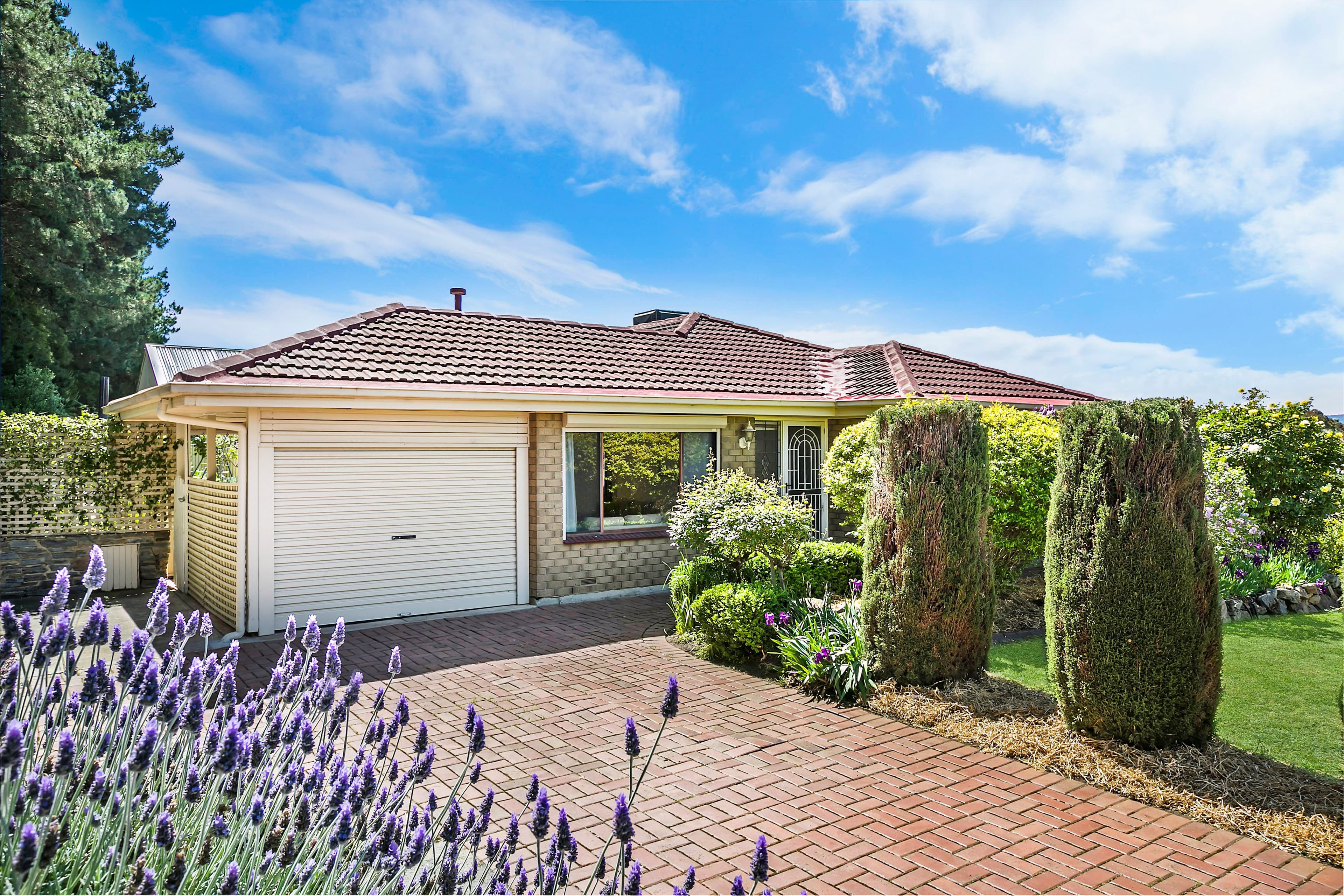 11 Austin Court, Trott Park SA 5158, Trott Park - Thumbnail 5