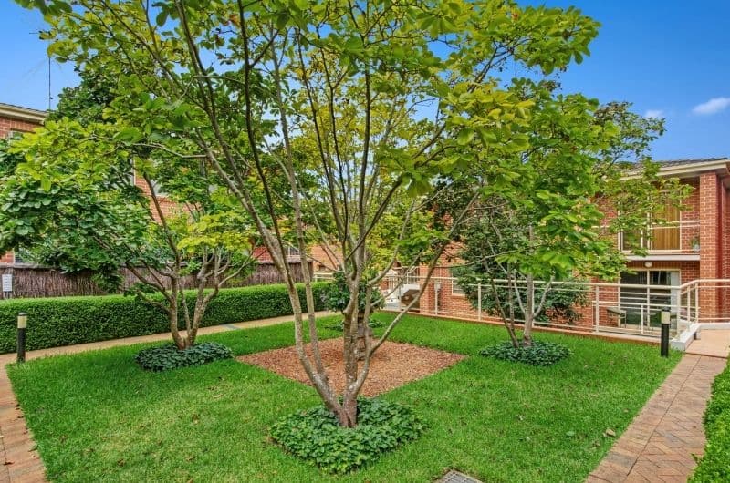 60-64 Greenwich Road, Greenwich NSW 2065, Greenwich - Thumbnail 7
