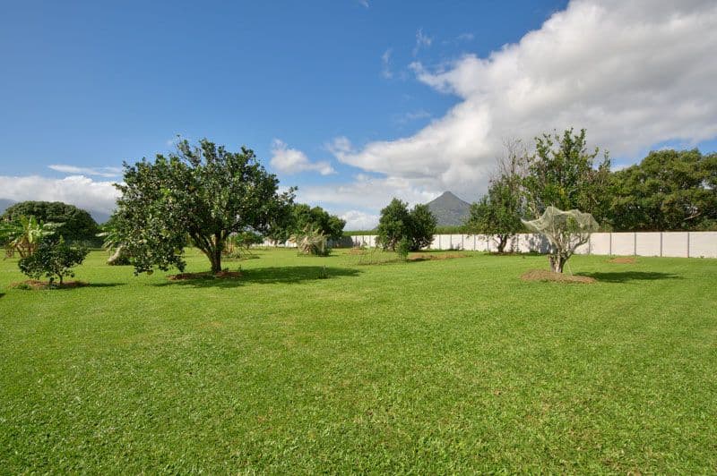 25-27 Grey Street, GORDONVALE QLD 4865, Gordonvale - Thumbnail 5