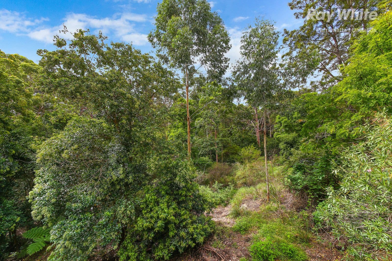 7 Garden Street, Telopea NSW 2117, Telopea - Thumbnail 4