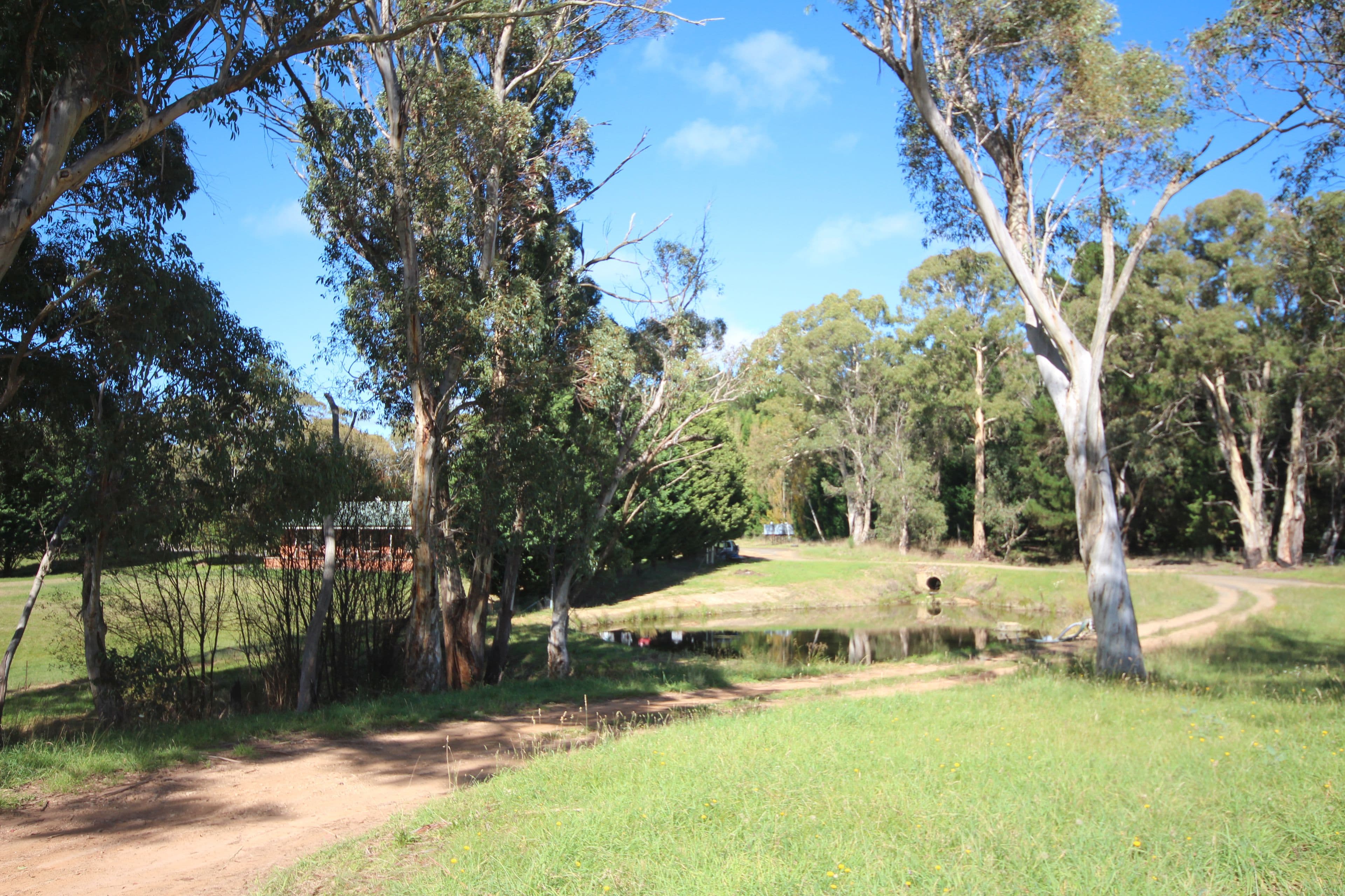 8 Butterfactory Lane, Oberon NSW 2787, Oberon - Thumbnail 5