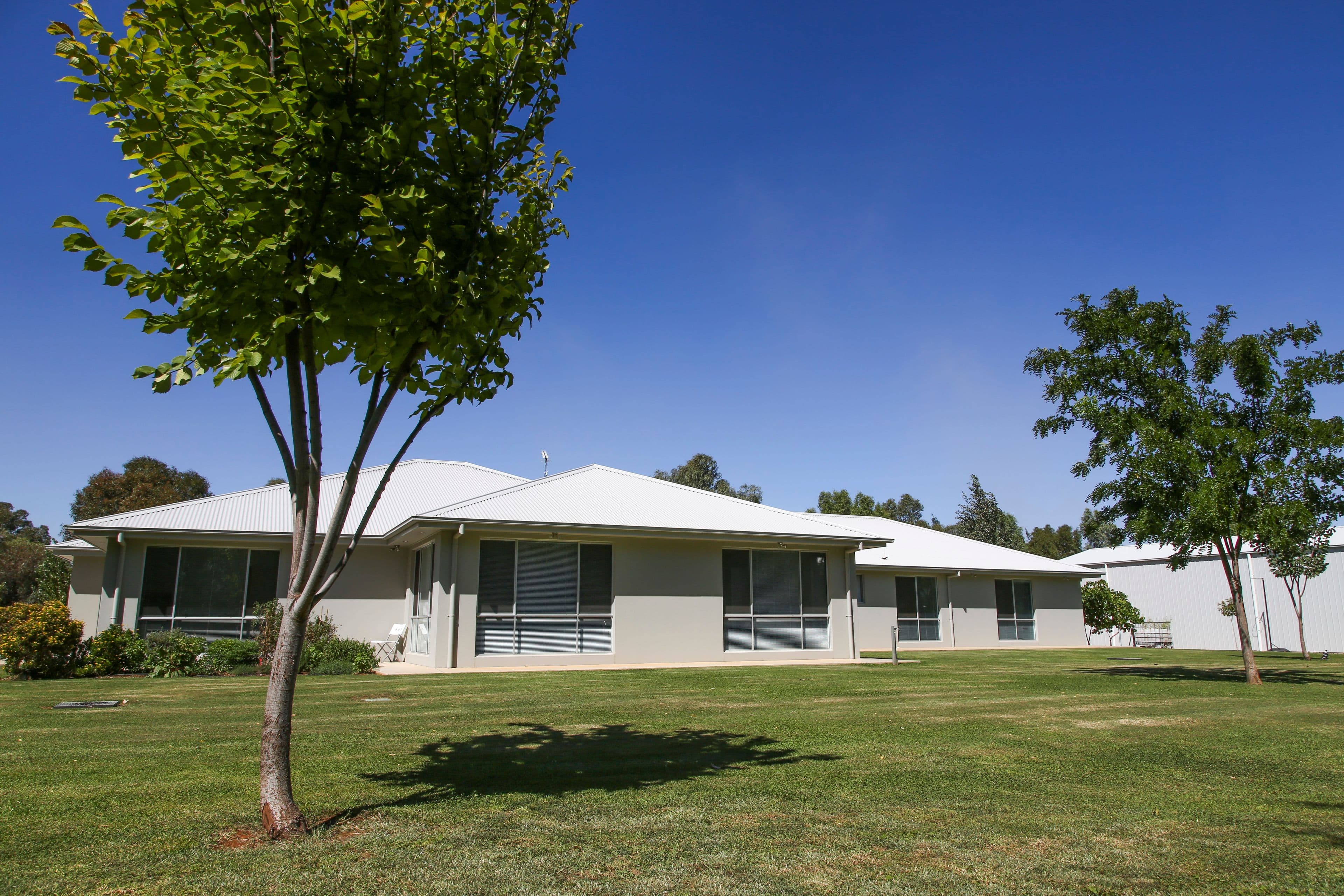 273 Boorga Road, Griffith NSW 2680, Griffith - Thumbnail 2