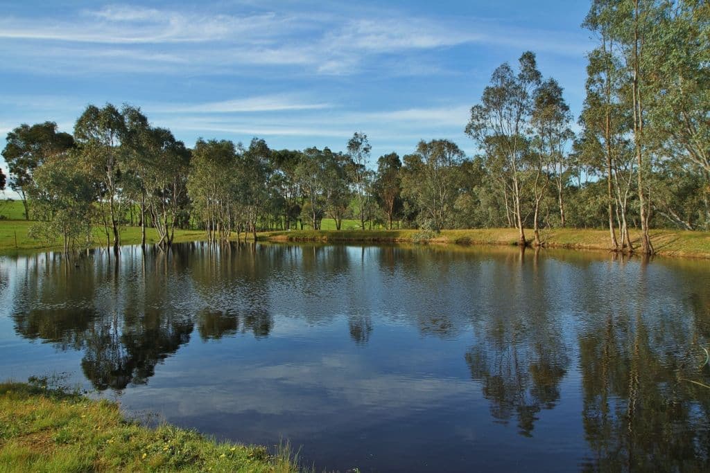37 Adairs Lane, Heathcote VIC 3523, Heathcote - Thumbnail 2