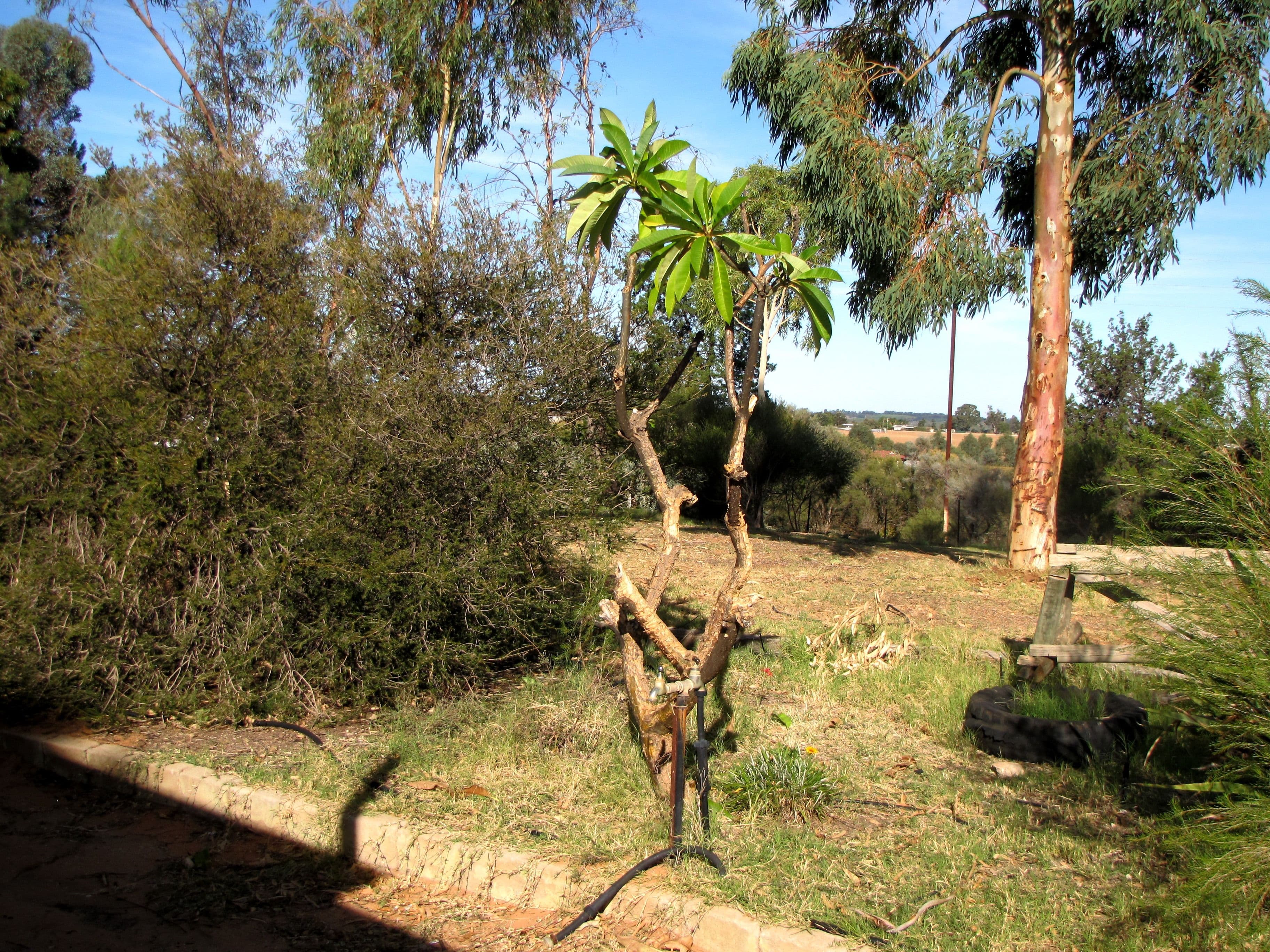 33 Bray Road, Glossop SA 5344, Glossop - Thumbnail 7