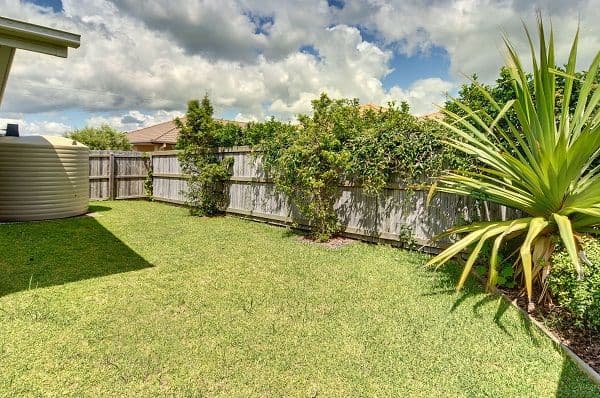 7 Maplespring Street, SIPPY DOWNS QLD 4556, Sippy Downs - Thumbnail 8