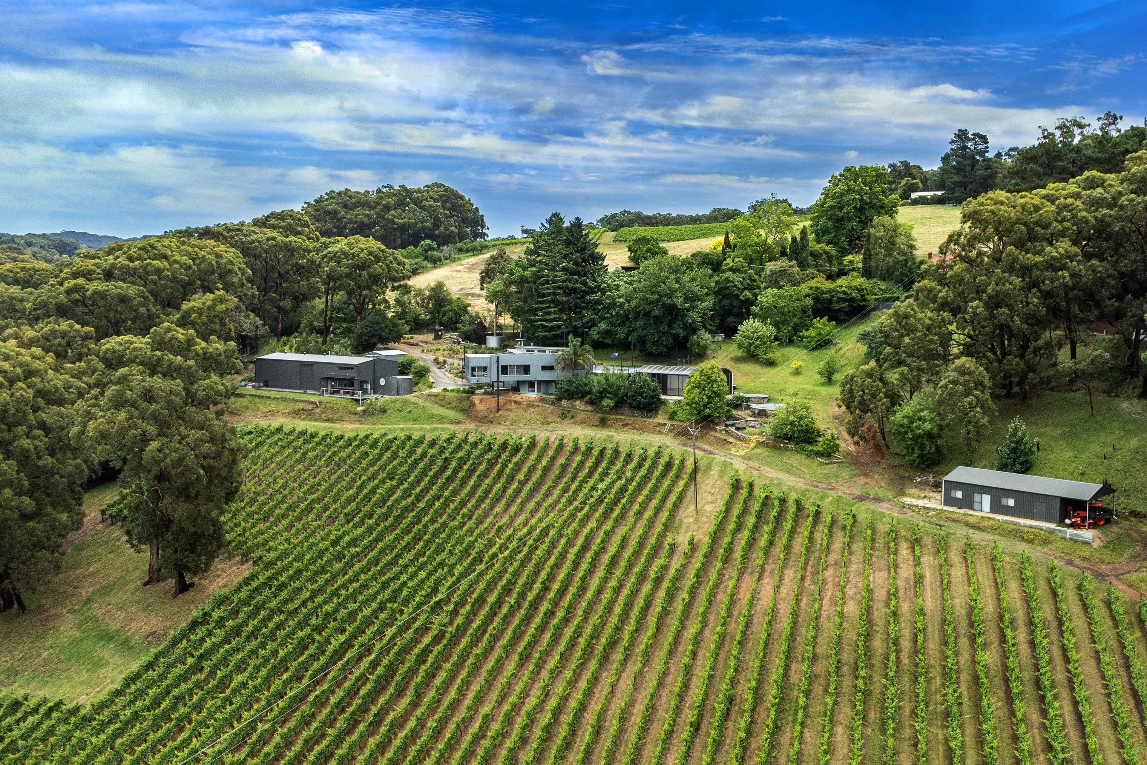 100 Collins Road, Ashton SA 5137, Ashton - Thumbnail 2
