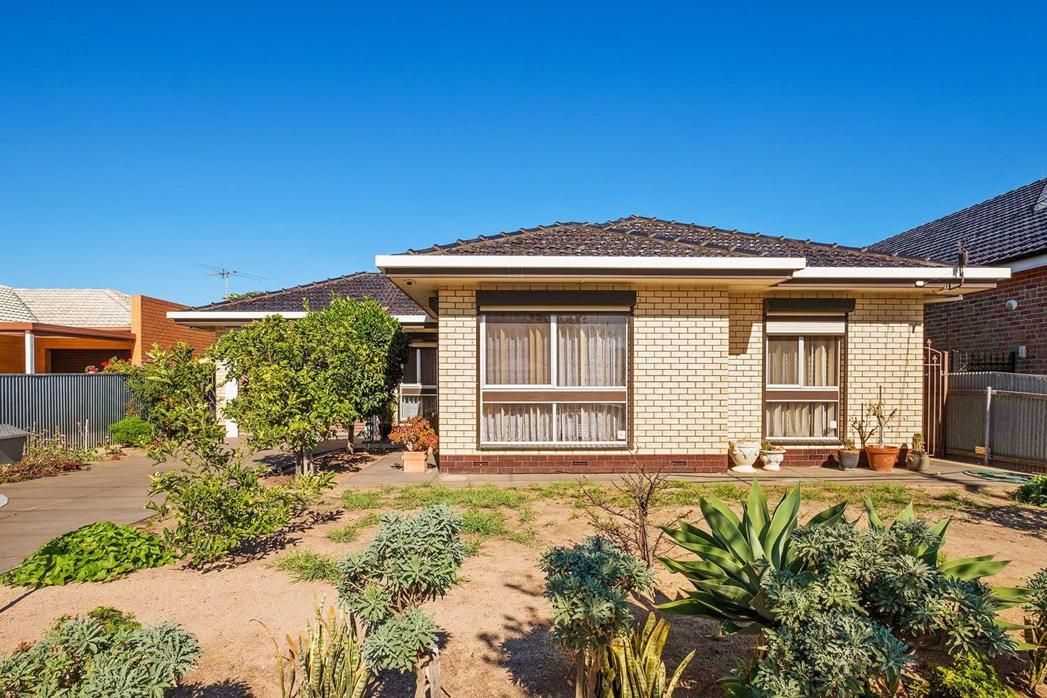 47 Raymond Avenue, Seaton SA 5023, Seaton - Thumbnail 2