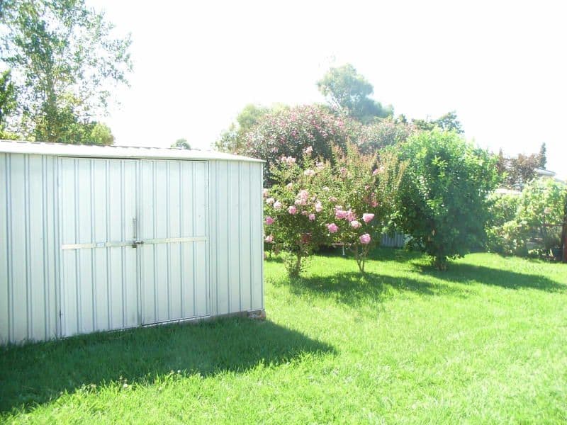 53 Henry Street, WERRIS CREEK NSW 2341, Werris Creek - Thumbnail 6