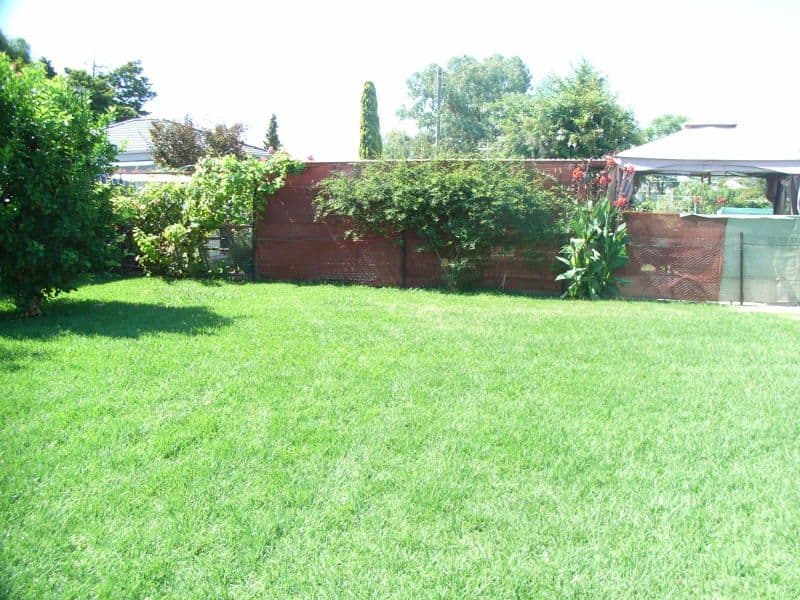 53 Henry Street, WERRIS CREEK NSW 2341, Werris Creek - Thumbnail 7