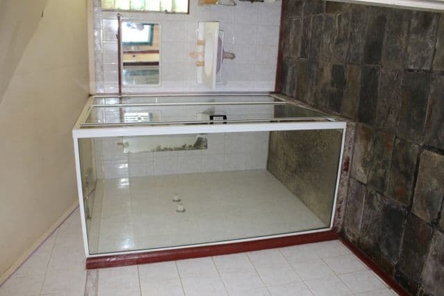 36 Taloom, Yelarbon QLD 4388, Yelarbon - Thumbnail 6