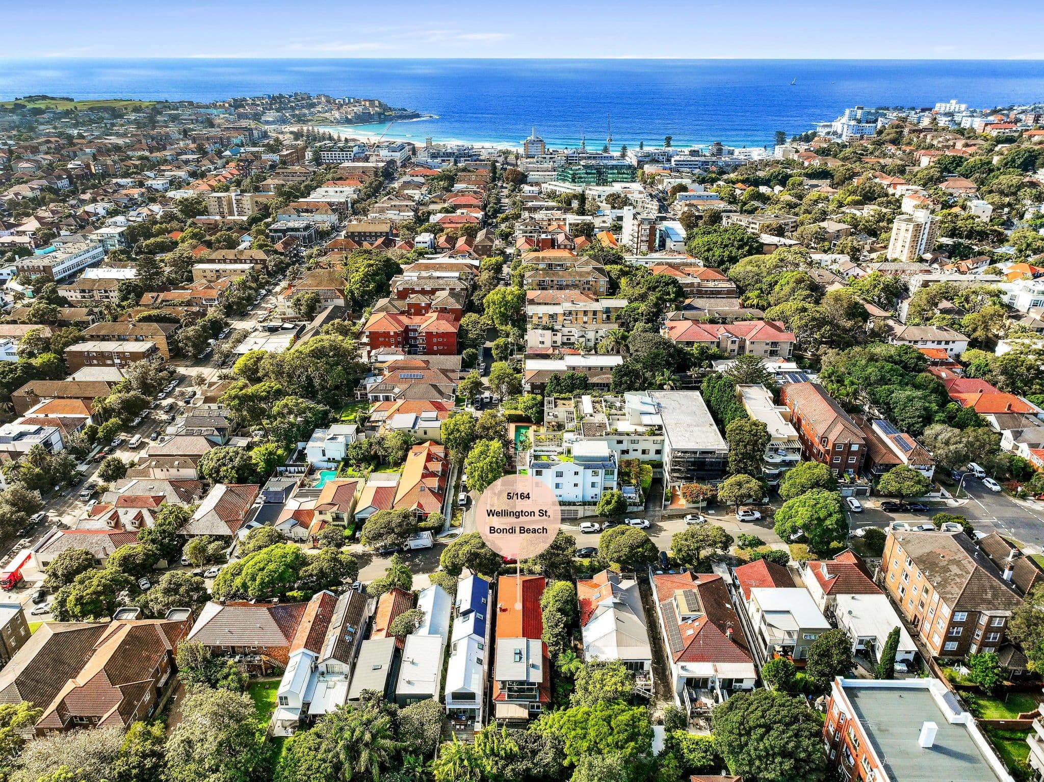 164 Wellington Street, Bondi Beach NSW 2026, Bondi Beach - Thumbnail 7