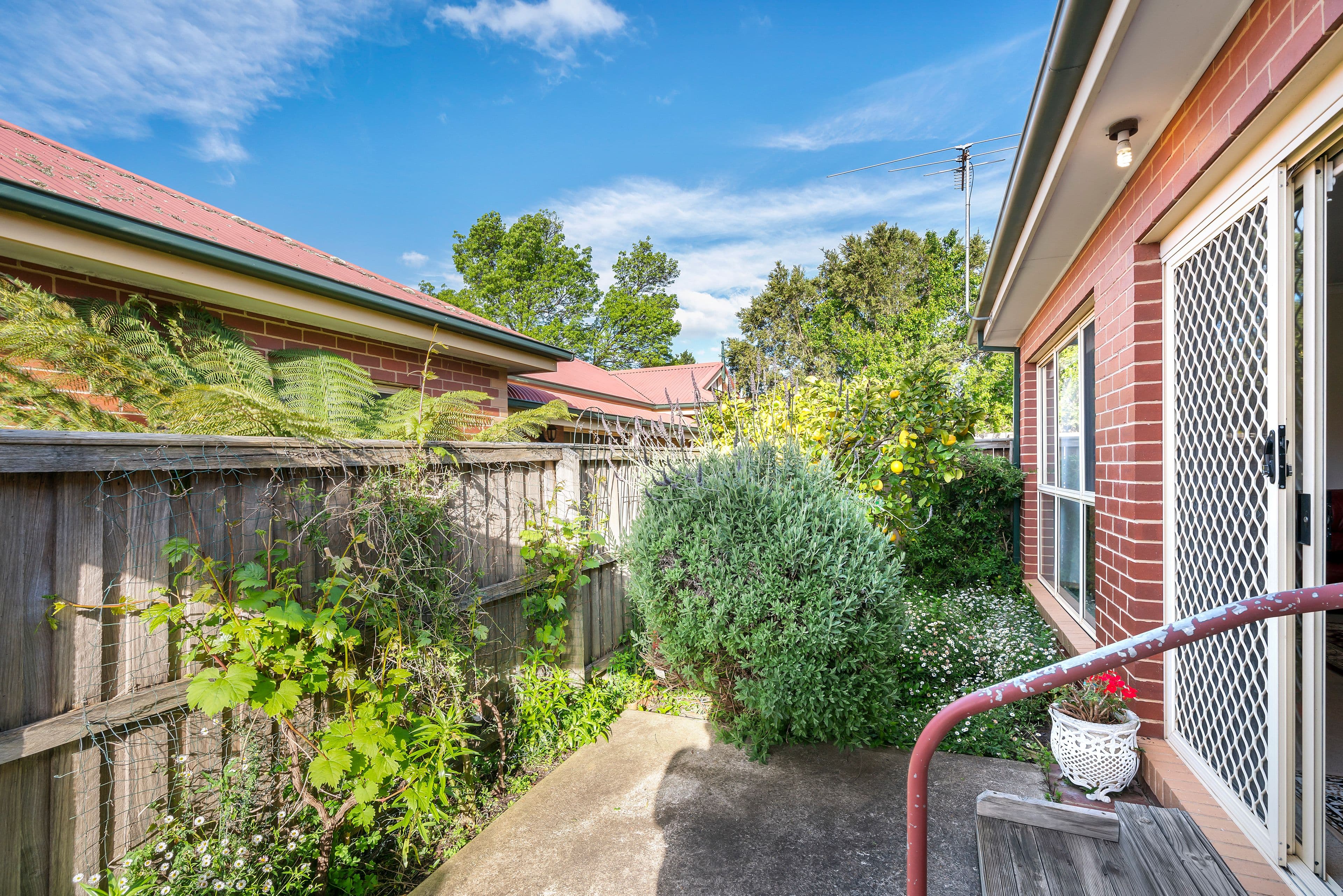31 Harker Street, Sunbury VIC 3429, Sunbury - Thumbnail 8